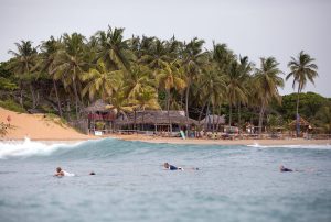 Image curtesy of Yanik Tissera Photography